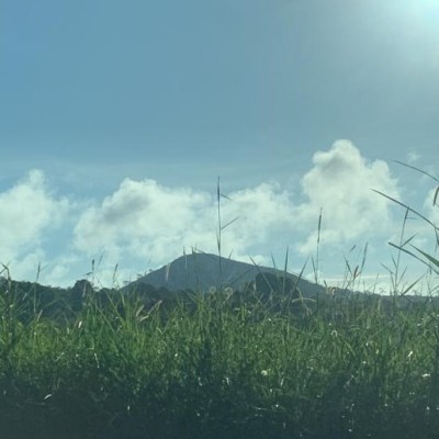 CGT Castelló s’oposa a la instal·lació de la planta d’amoníac en el Grau de&nbsp;Castelló