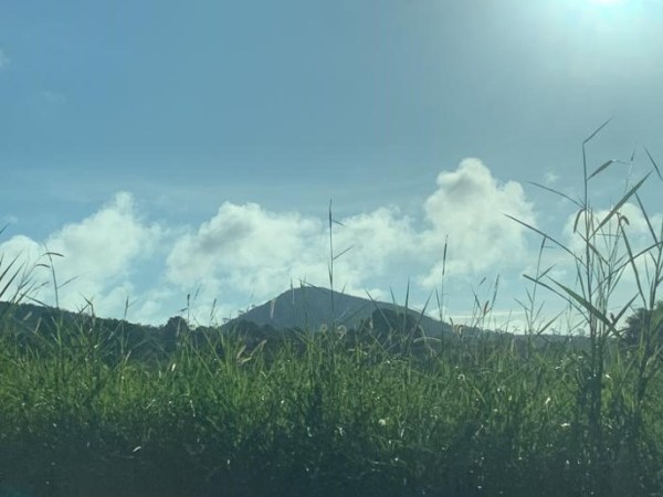 CGT Castelló s’oposa a la instal·lació de la planta d’amoníac en el Grau de&nbsp;Castelló