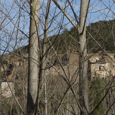 Escuela Libertaria de la CGT en Ruesta&nbsp;2026